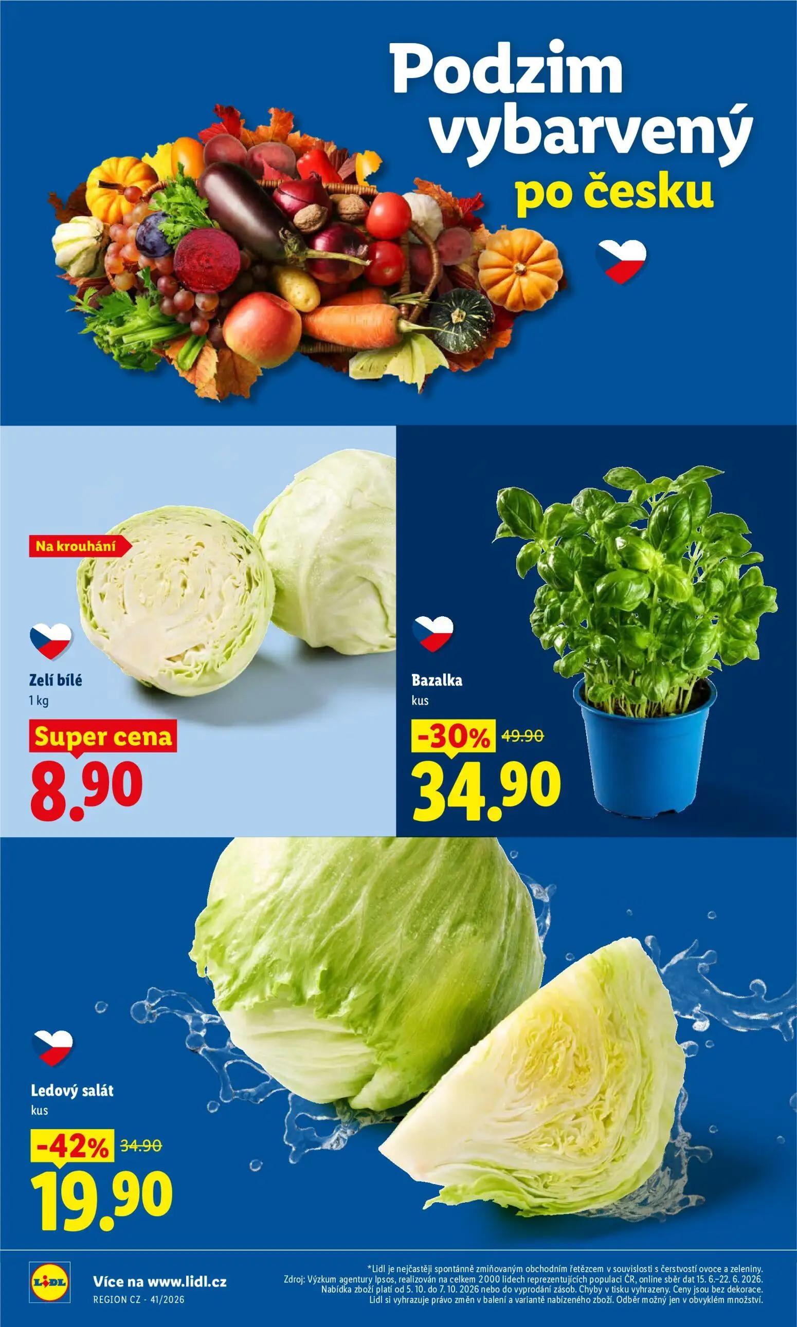 Lidl leták, strana 16 z 53 — Bazalka, Ledový salát, Zelí bílé