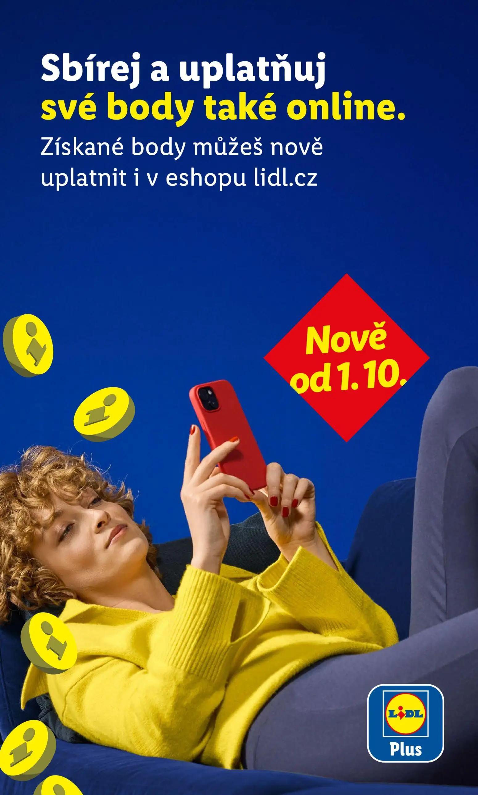 Lidl leták, strana 46 z 52