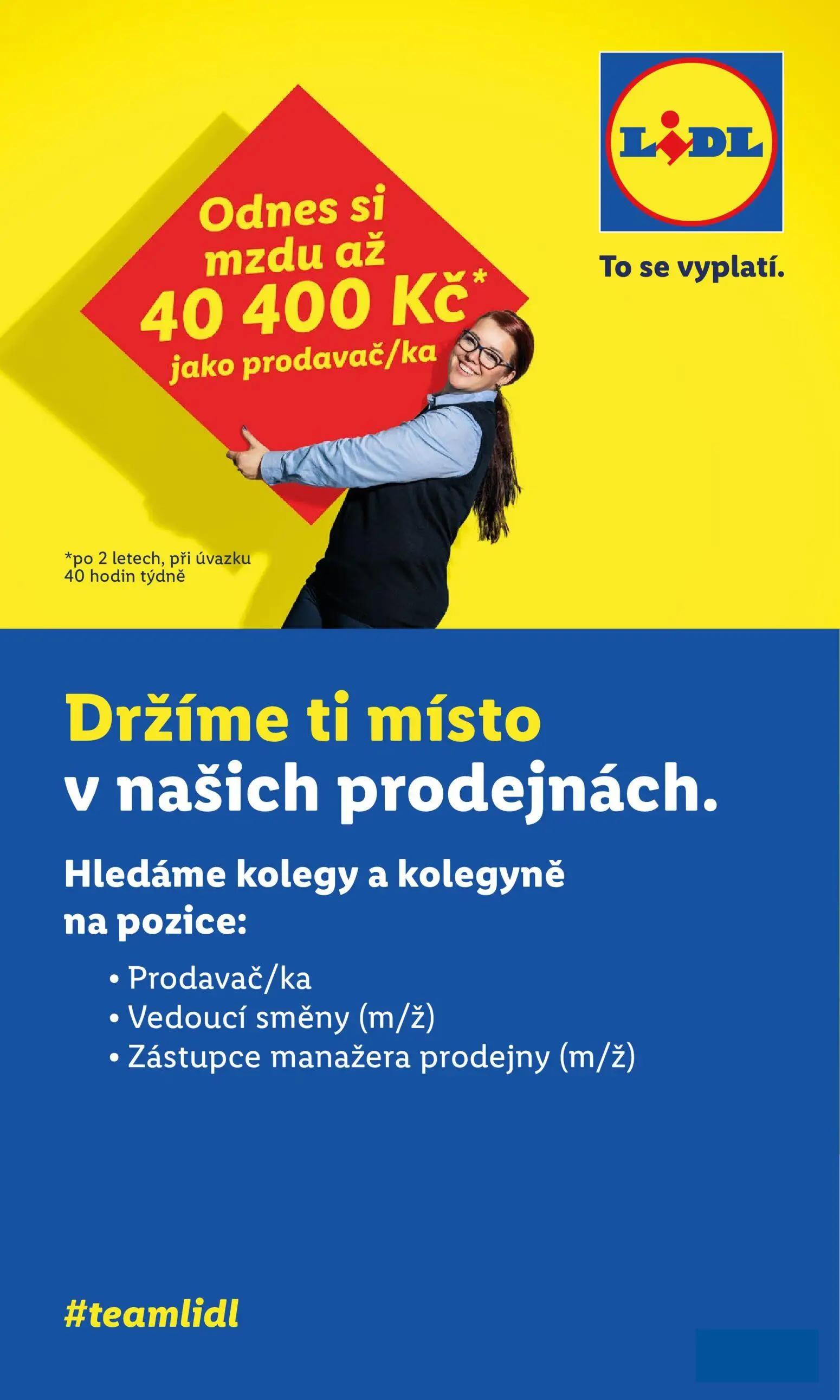 Lidl leták, strana 51 z 53 — mzdu