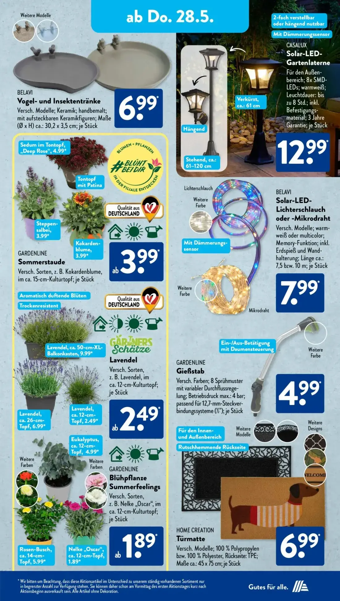 Aldi Süd Prospekt, Seite 8 von 25 — Gartenlaterne, Solar-LED-Lichterschlauch oder -Mikrodraht