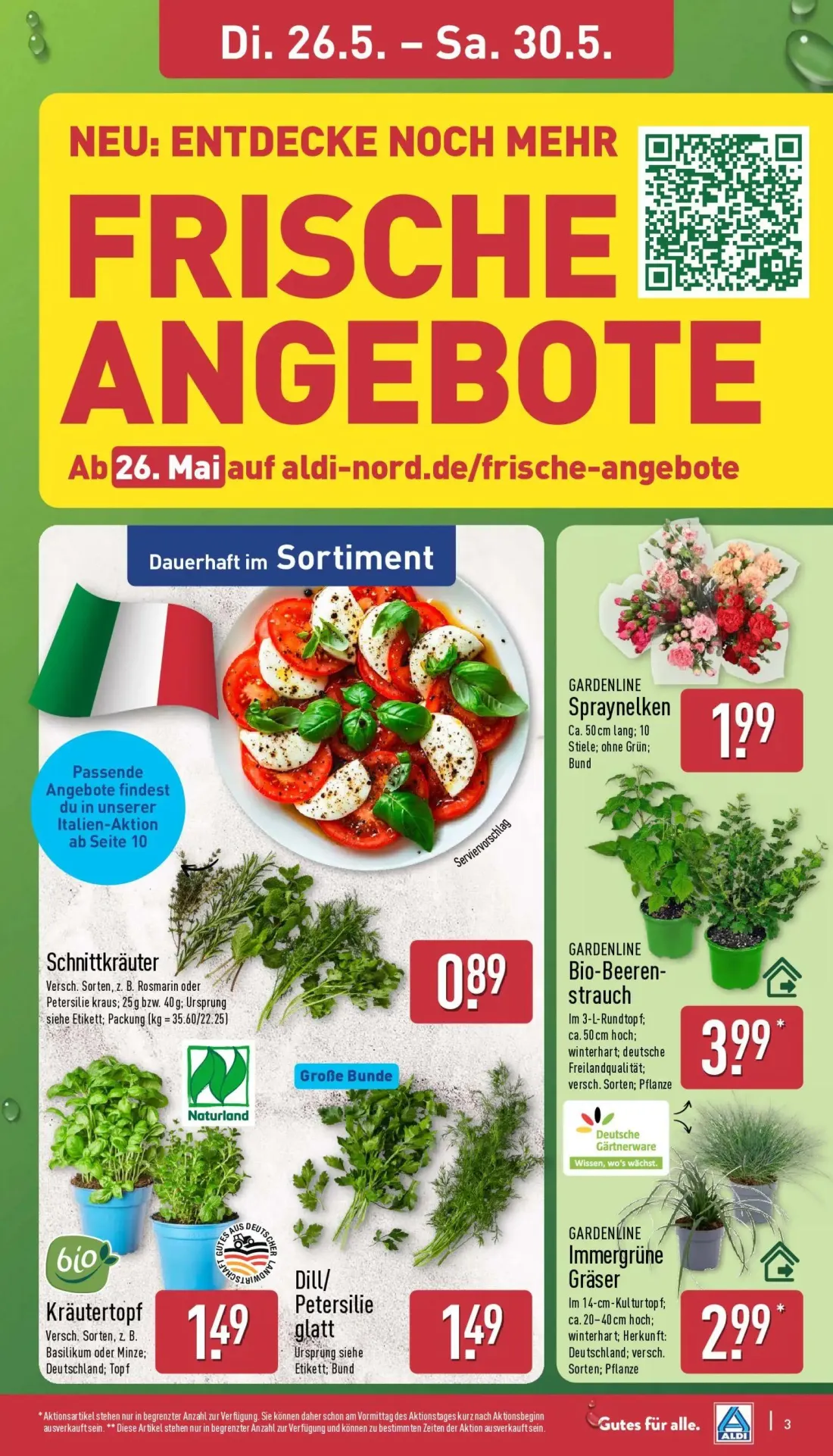 Aldi Nord Prospekt, Seite 3 von 42