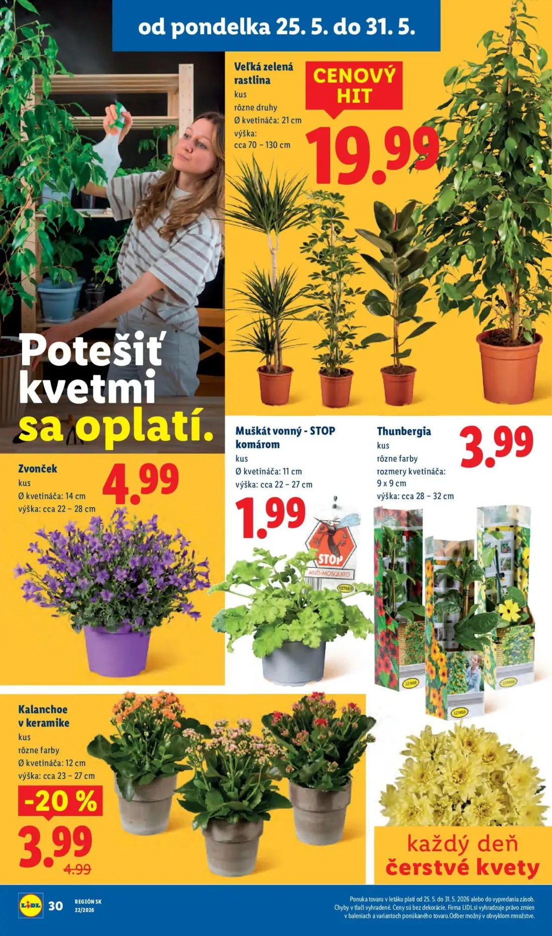 Lidl leták, strana 48 z 109