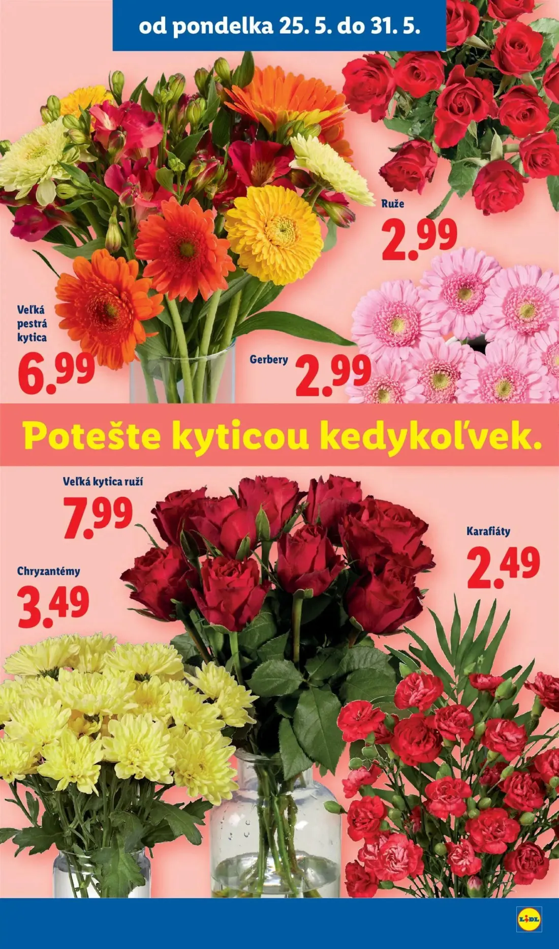 Lidl leták, strana 49 z 109