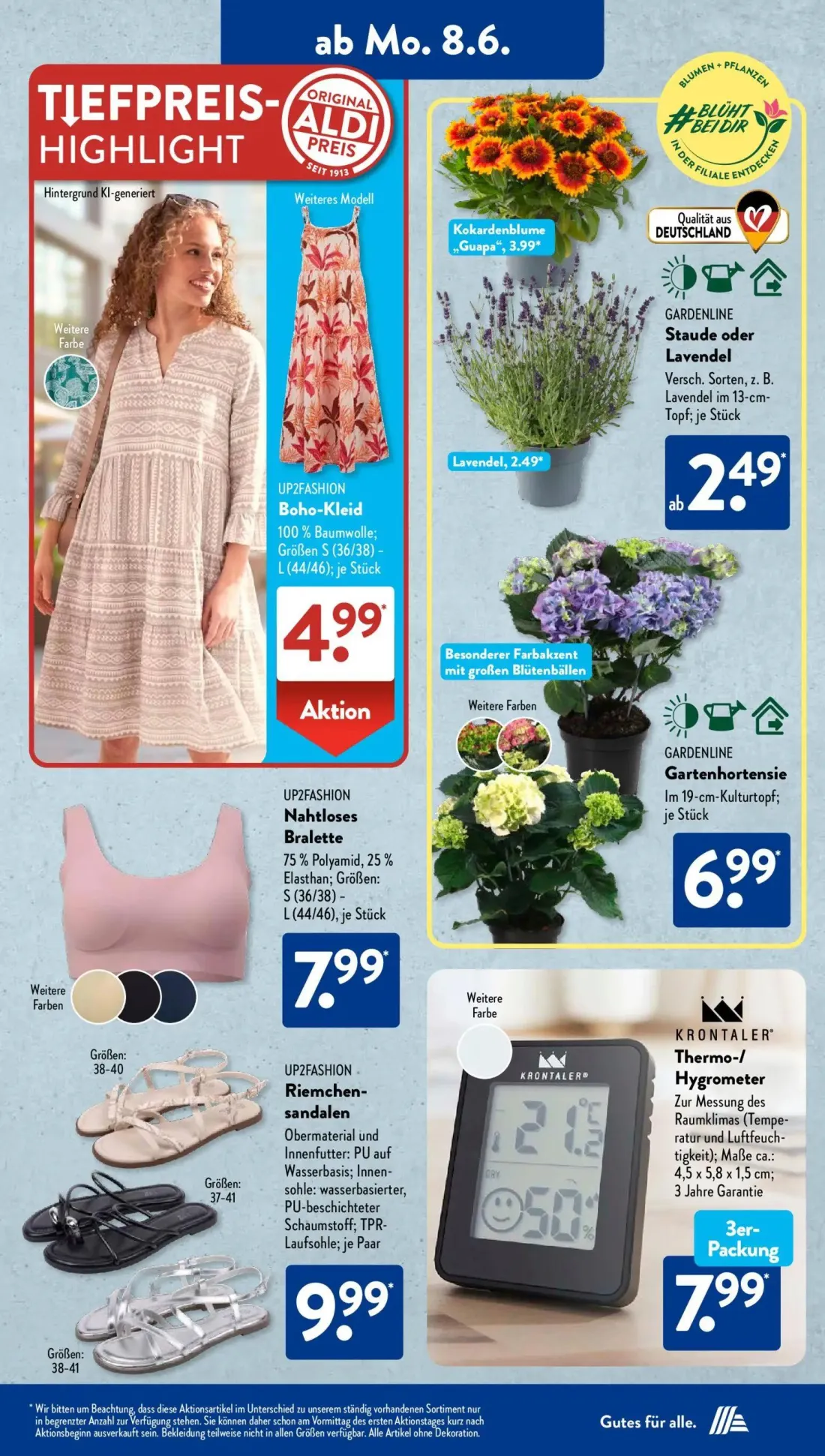 Aldi Süd Prospekt, Seite 6 von 24 — Kokardenblume „Guapa", GARDENLINE Staude oder Lavendel, GARDENLINE Gartenhortensie