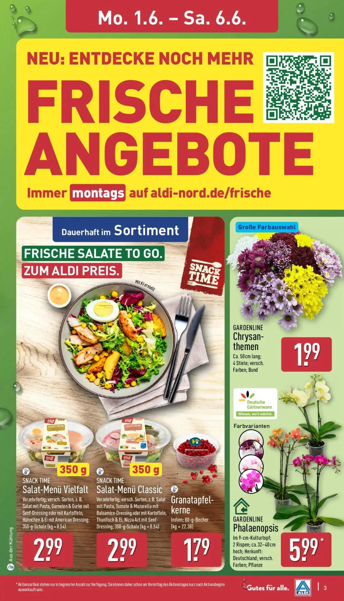 Aldi Nord Prospekt, Seite 3 von 37