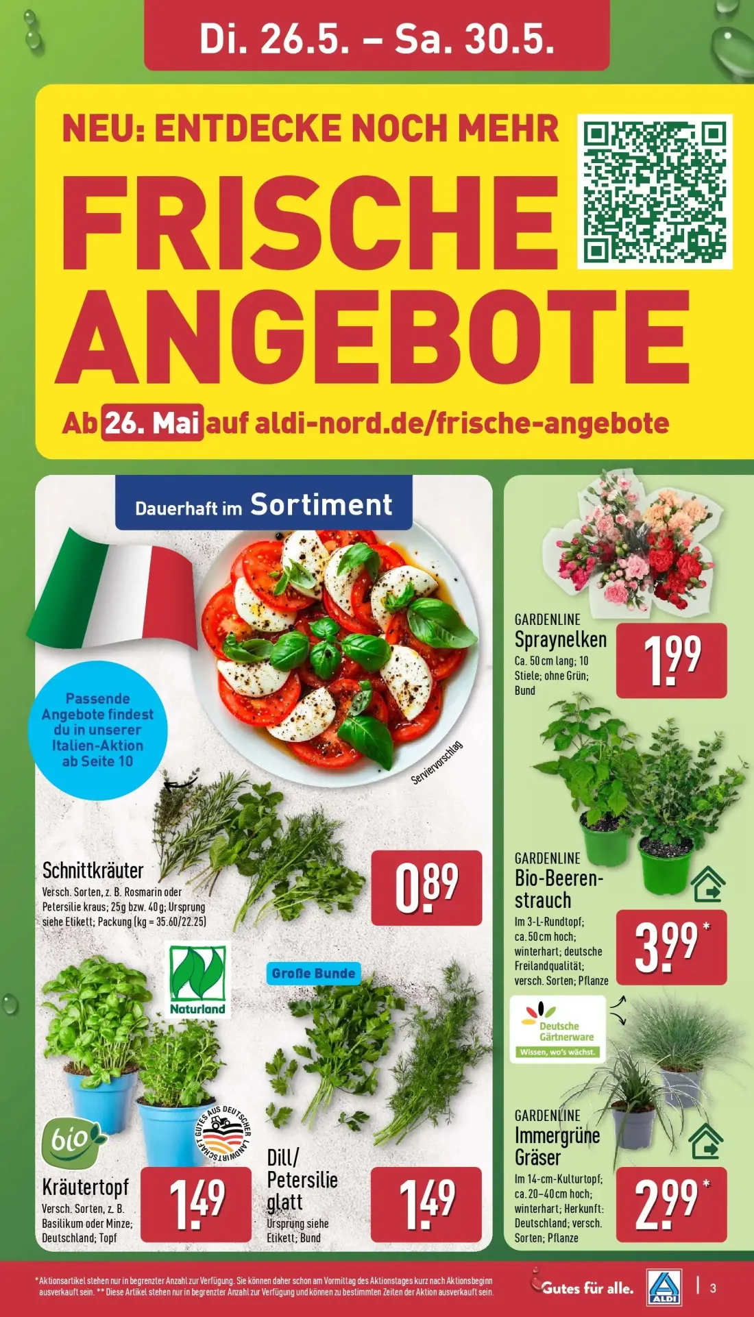 Aldi Nord Prospekt, Seite 3 von 42