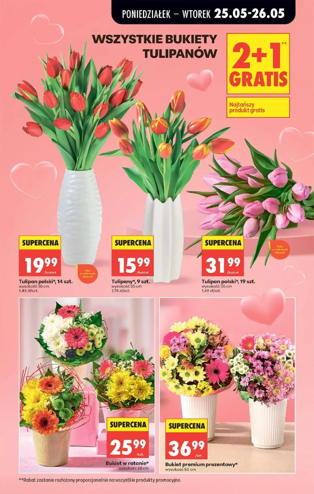 Biedronka gazetka, strona 15 z 92 — Tulipan polski, Tulipany, Tulipan polski