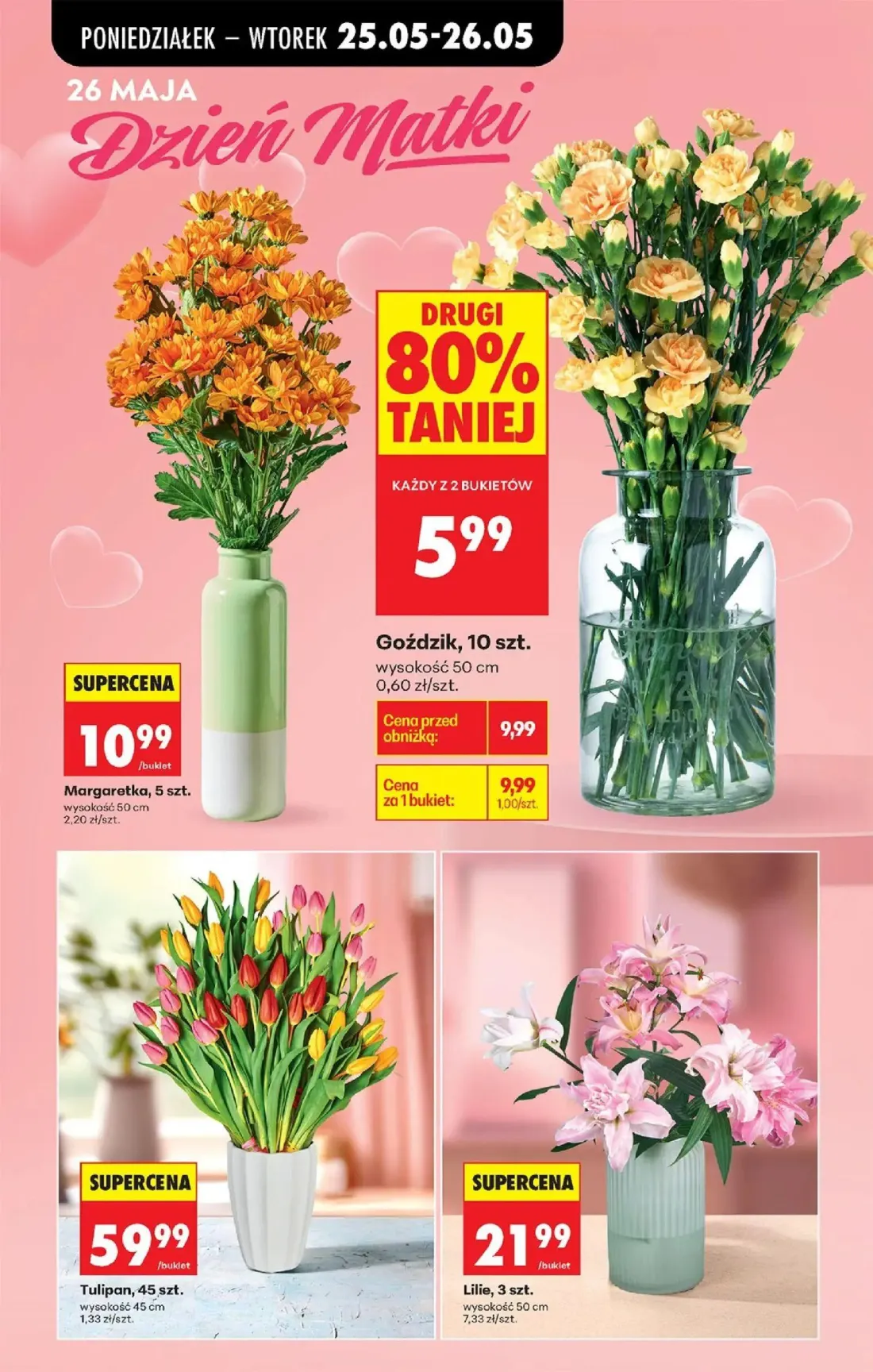 Biedronka gazetka, strona 16 z 92 — Goździk, Margareka, Tulipan