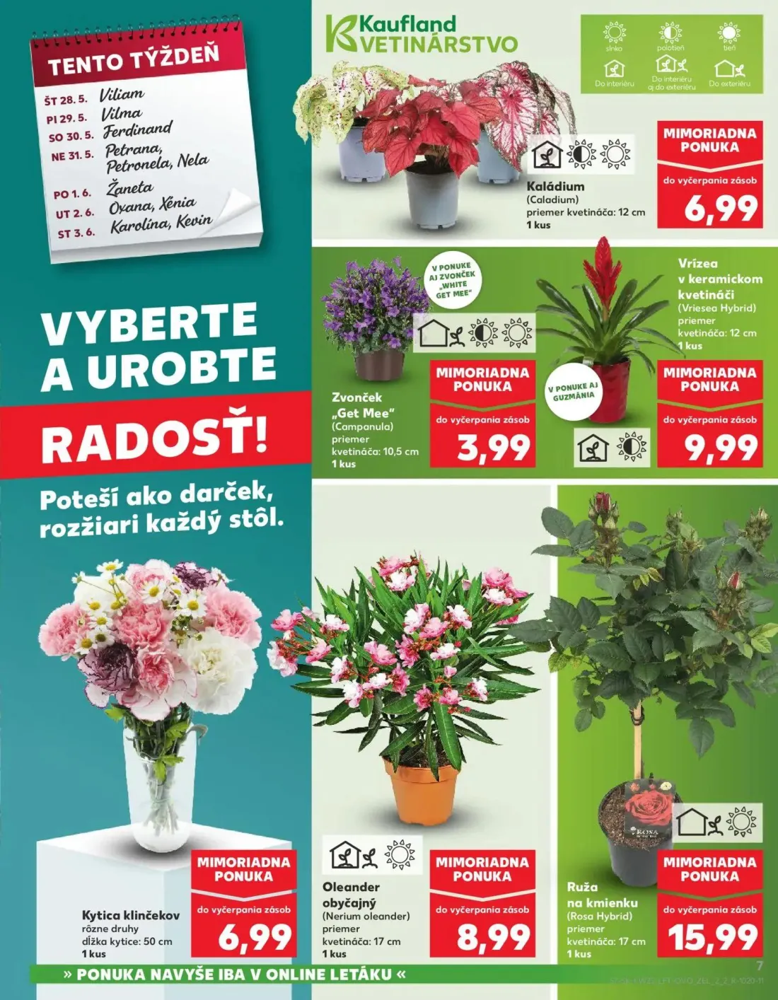 Kaufland leták, strana 7 z 72 — Kaládium (Caladium), Zvonček „Get Mee" (Campanula), Vrízea v keramickom kvetináči (Vriesea H…