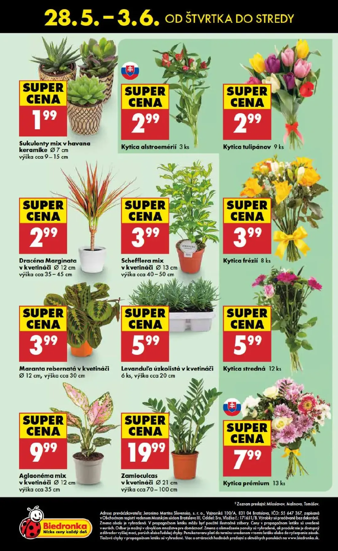 Biedronka leták, strana 48 z 48