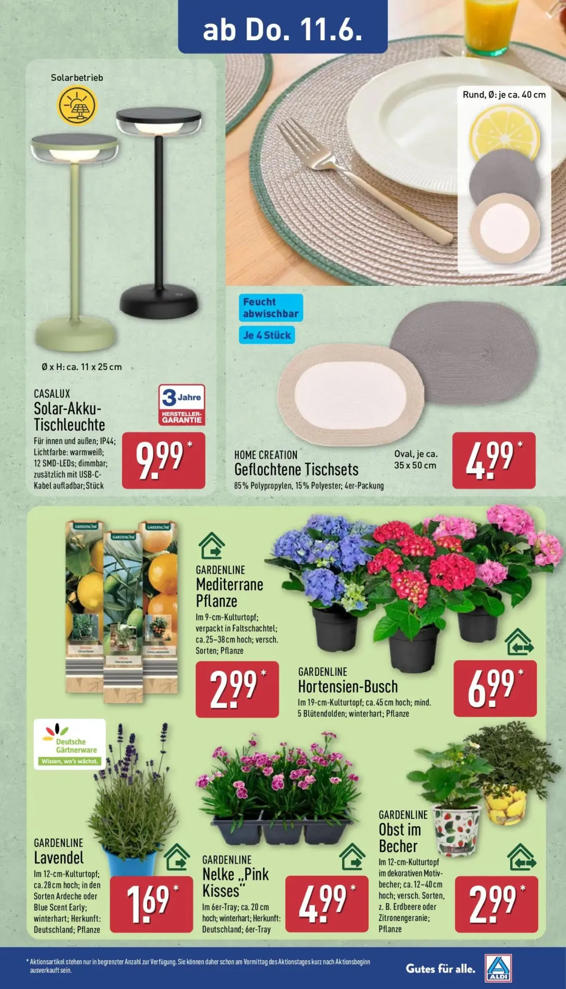 Aldi Nord Prospekt, Seite 15 von 15 — Solar-Akku-Tischleuchte, Mediterrane Pflanze, Hortensien-Busch
