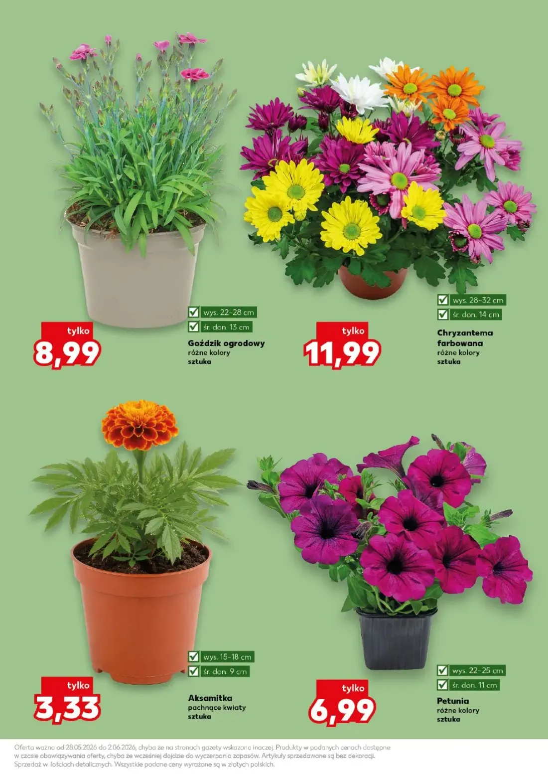 Kaufland gazetka, strona 11 z 22 — Aksamitka pachnące kwiaty, Petunia