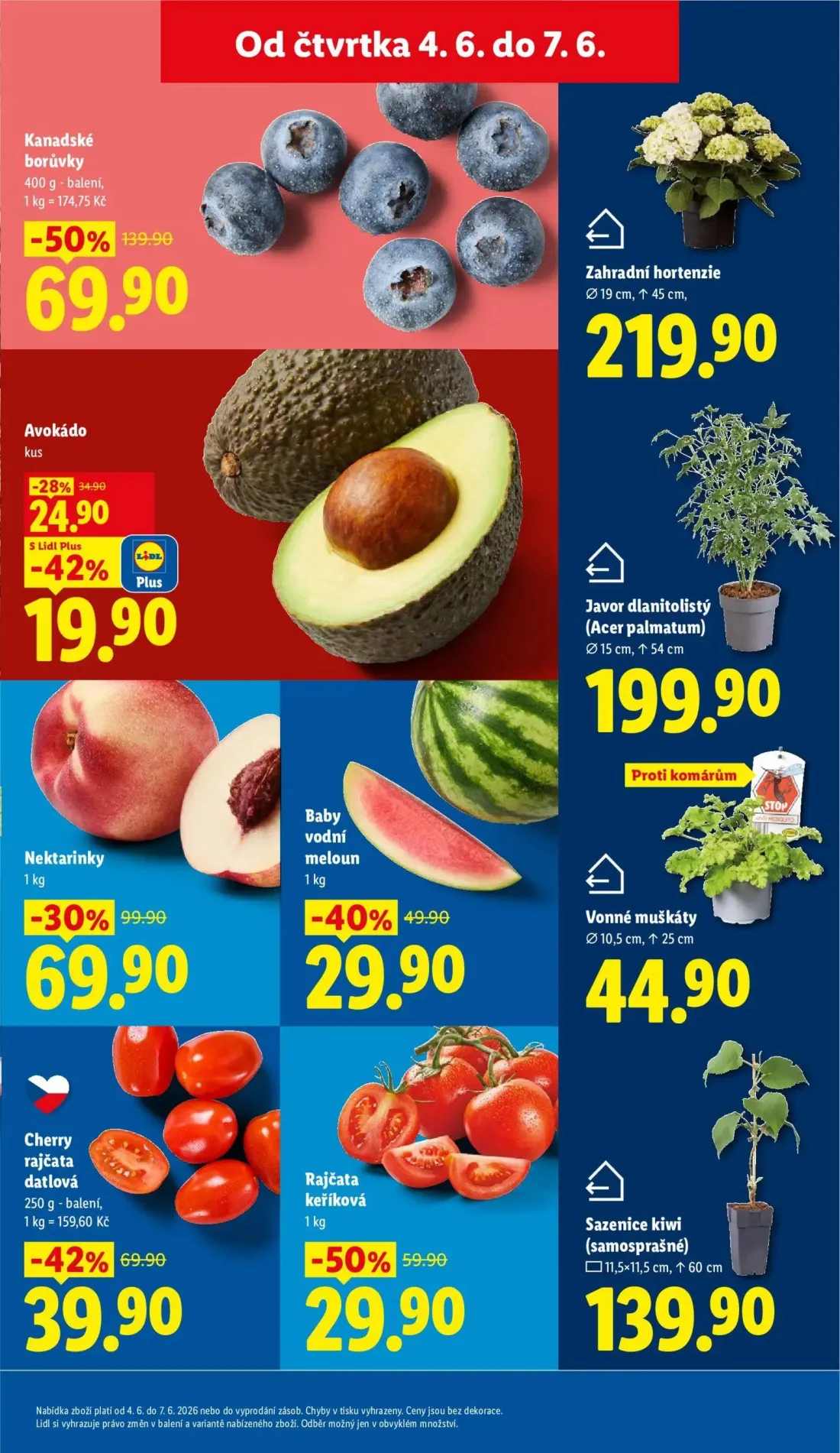 Lidl leták, strana 11 z 51 — Nektarinky, Baby vodní meloun