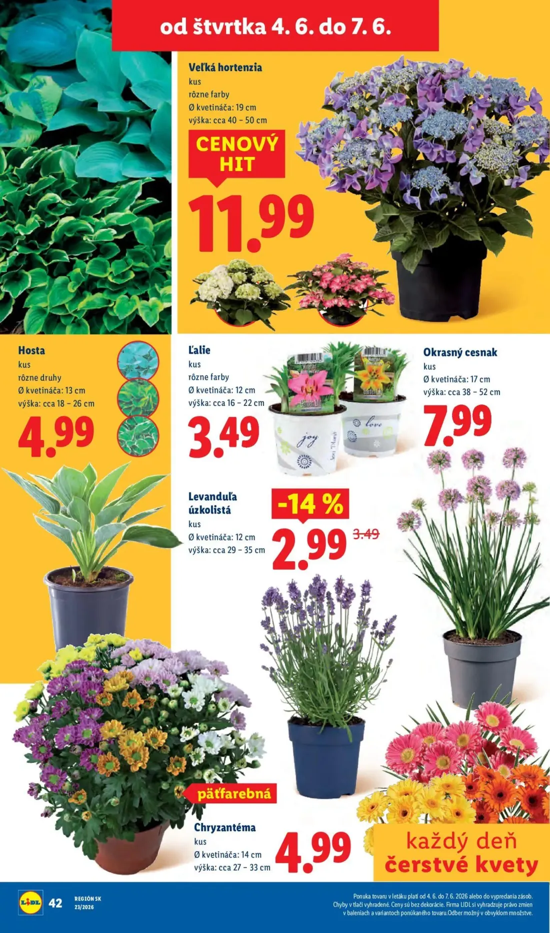 Lidl leták, strana 78 z 97