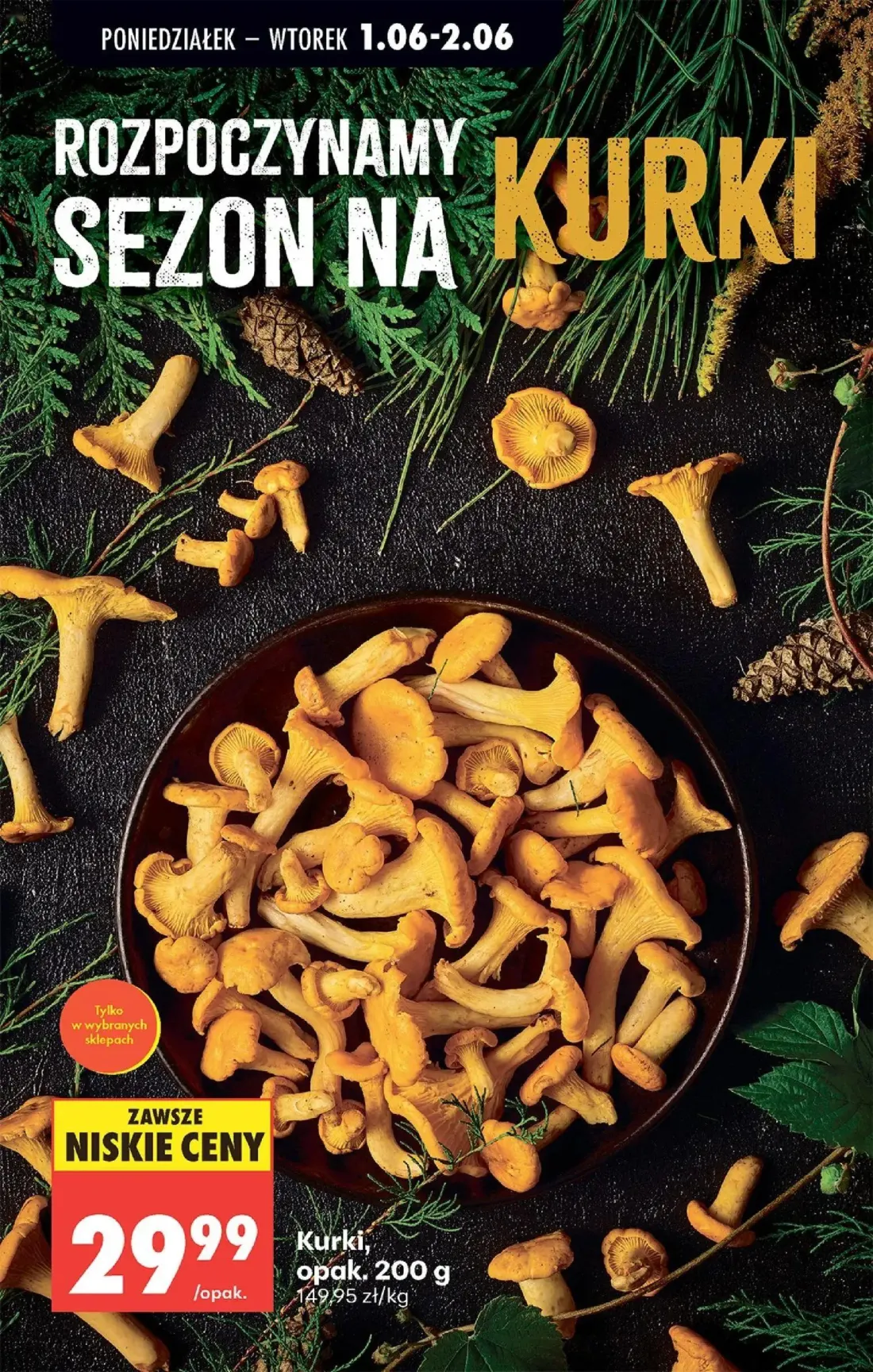 Biedronka gazetka, strona 29 z 95