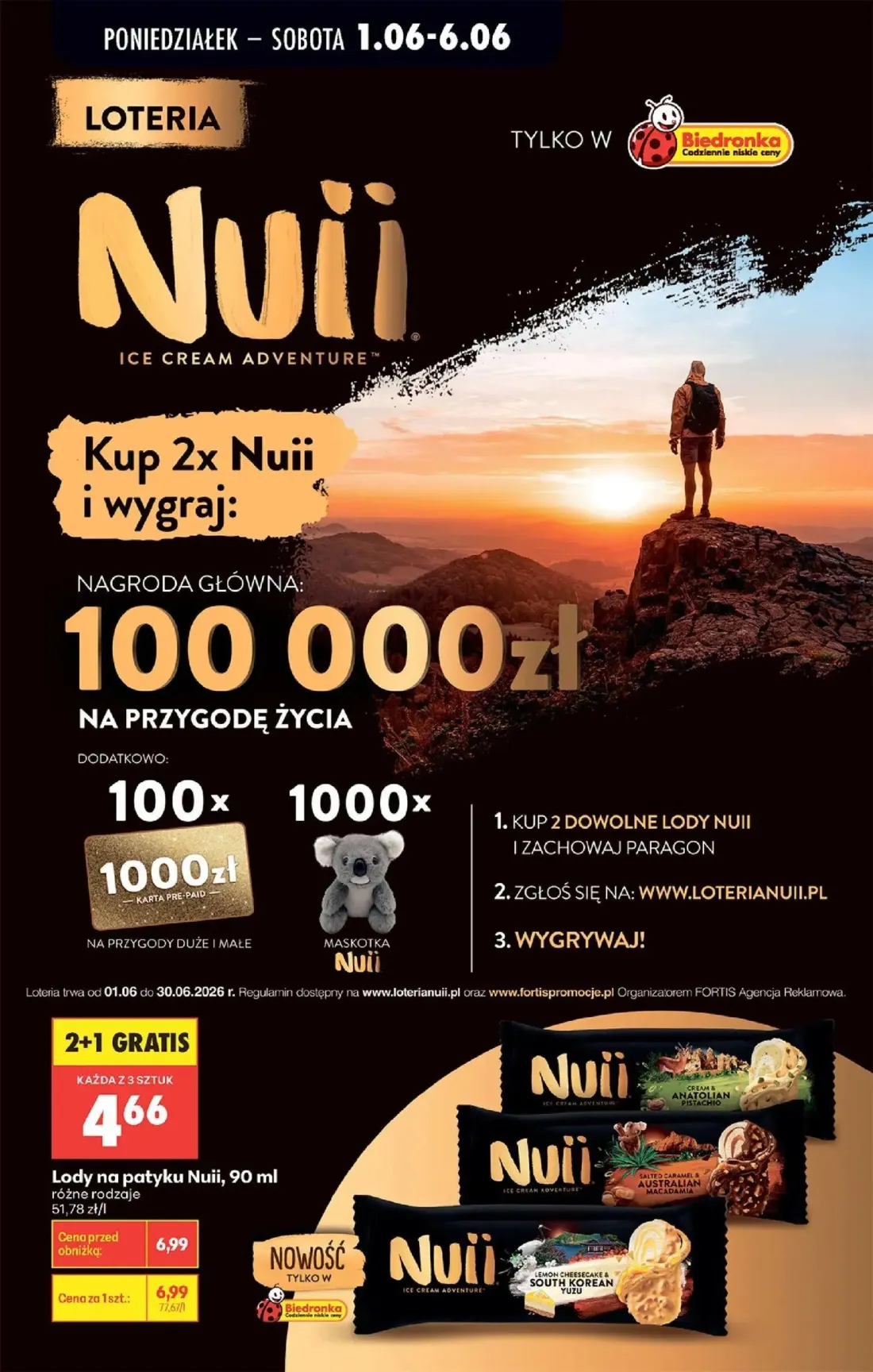 Biedronka gazetka, strona 77 z 95 — Lody na patyku Nuii, różne rodzaje, Nuii Ice Cream Adventure