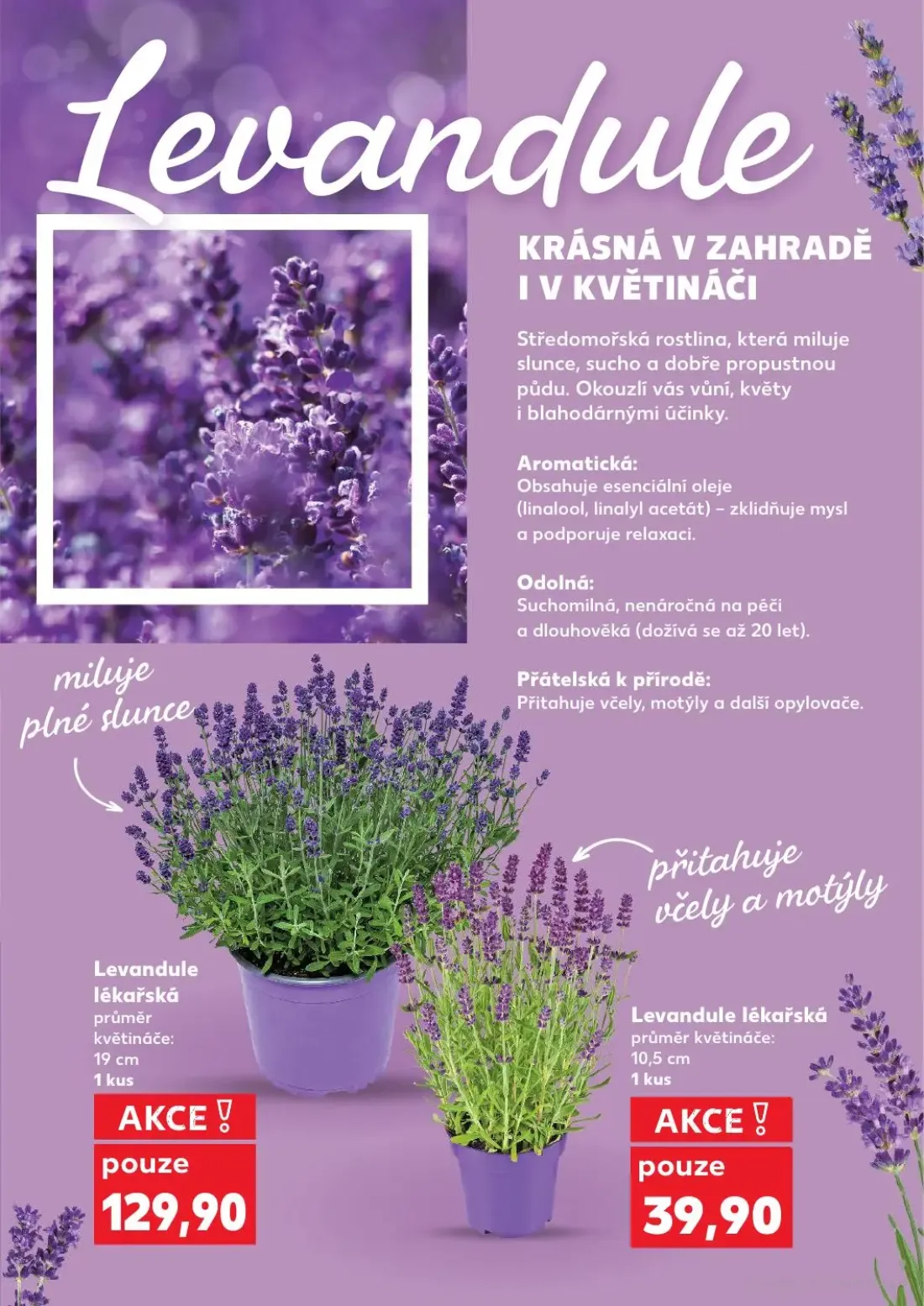 Kaufland leták, strana 9 z 54