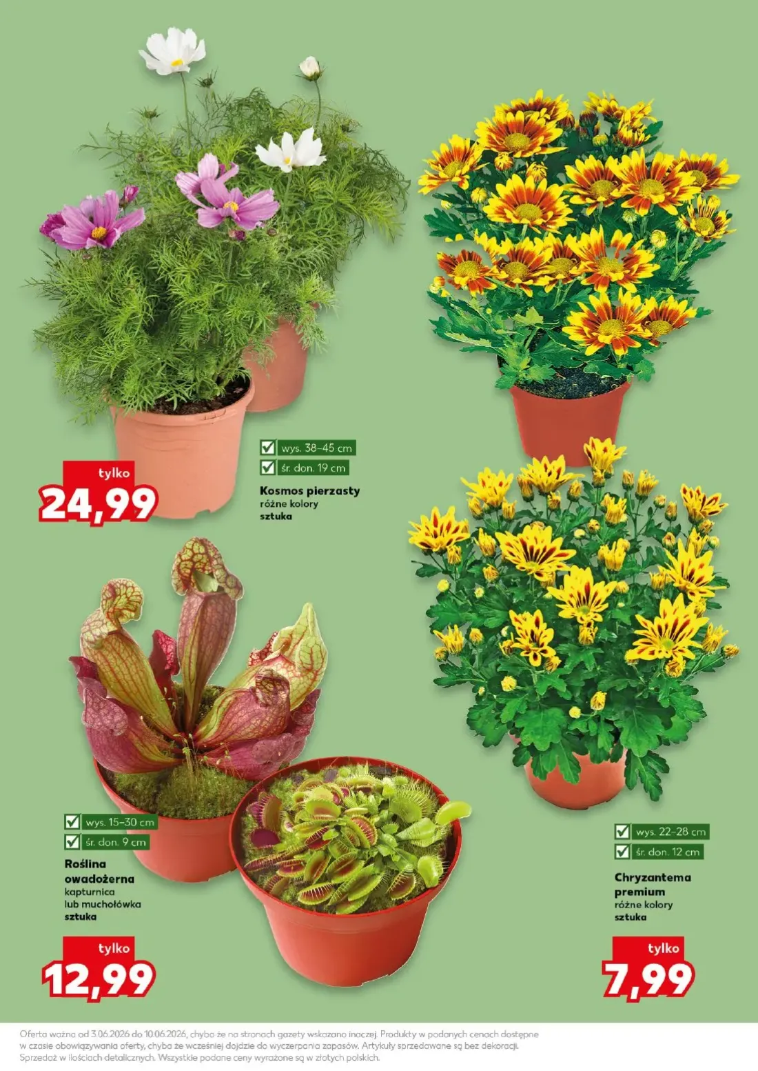 Kaufland gazetka, strona 11 z 22