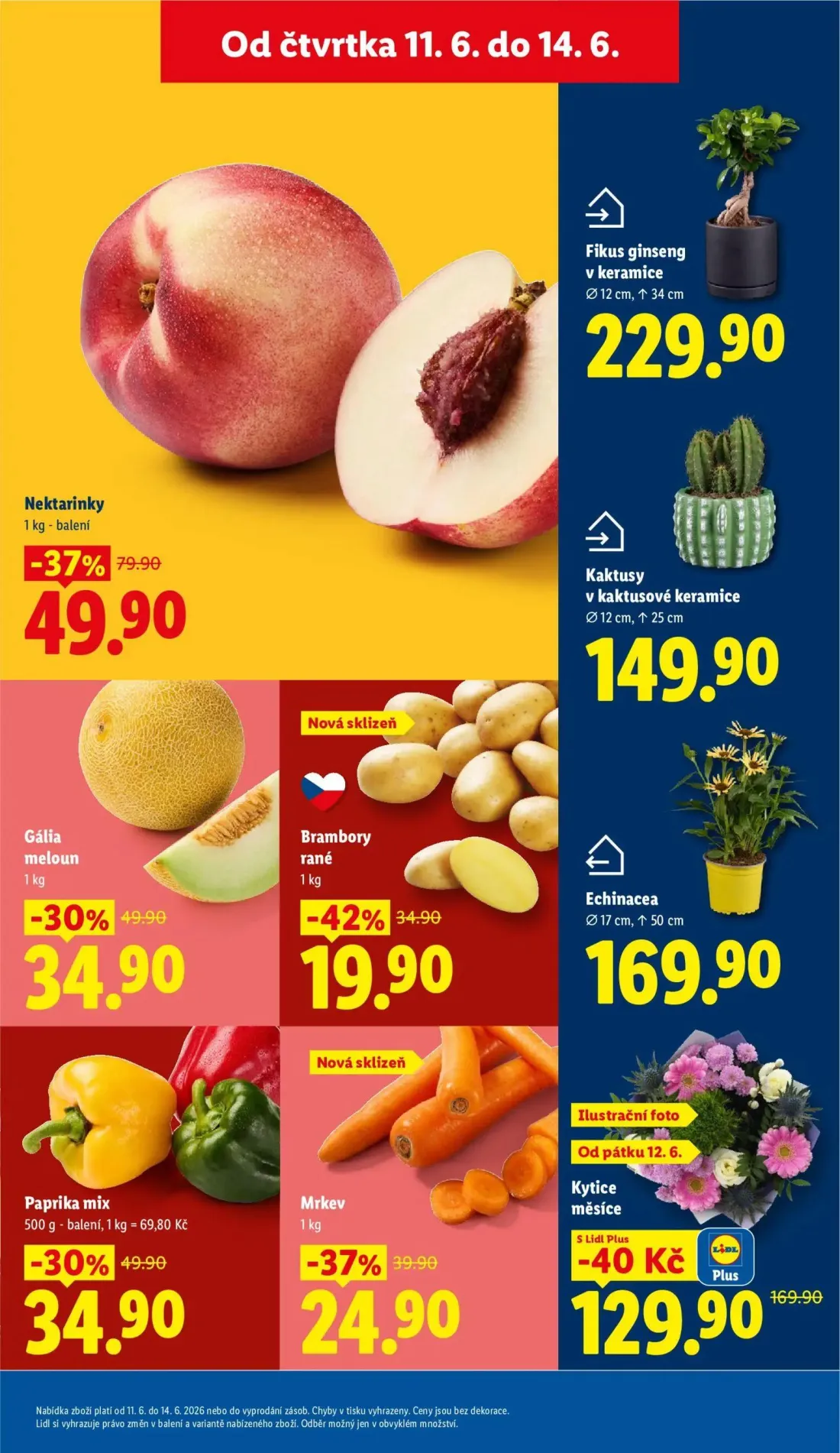 Lidl leták, strana 13 z 57 — Nektarinky, Gália meloun, Brambory rané