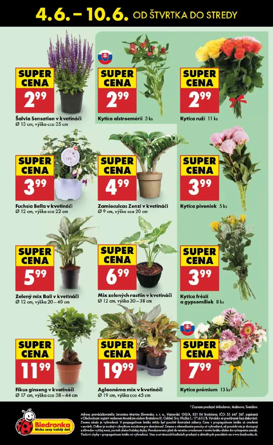 Terno leták, strana 48 z 48 — Šalvia Sensation v kvetináči, Kytica alstroemérií, Kytica ruží
