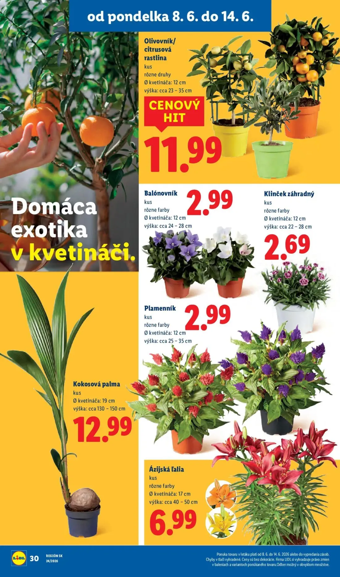 Lidl leták, strana 44 z 99