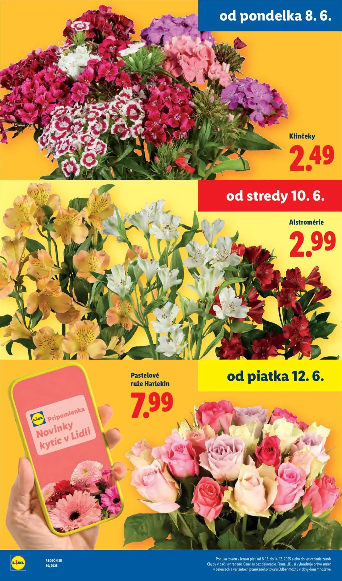 Lidl leták, strana 45 z 99