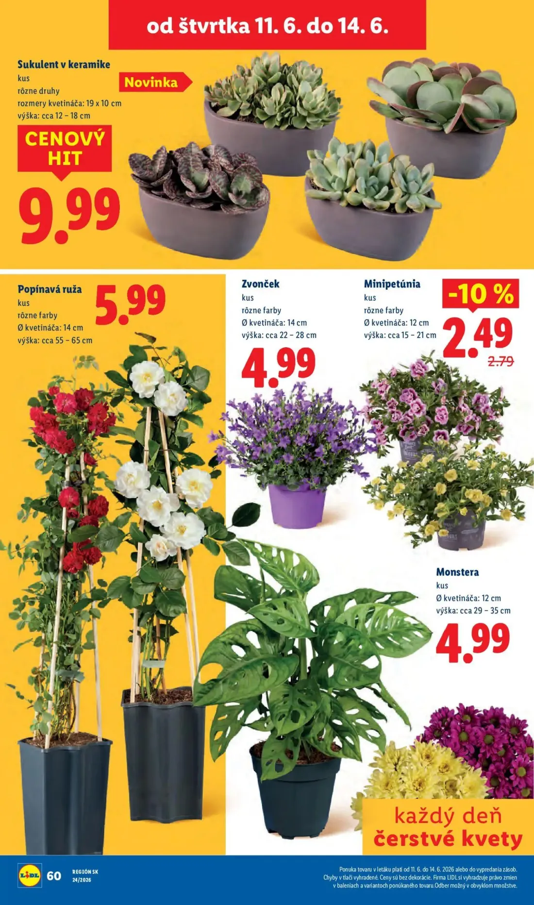 Lidl leták, strana 80 z 99