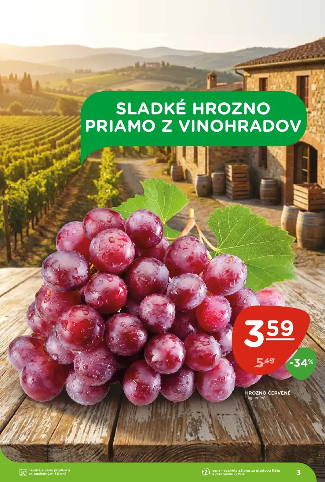 Terno leták, strana 3 z 26 — HROZNO ČERVENÉ
