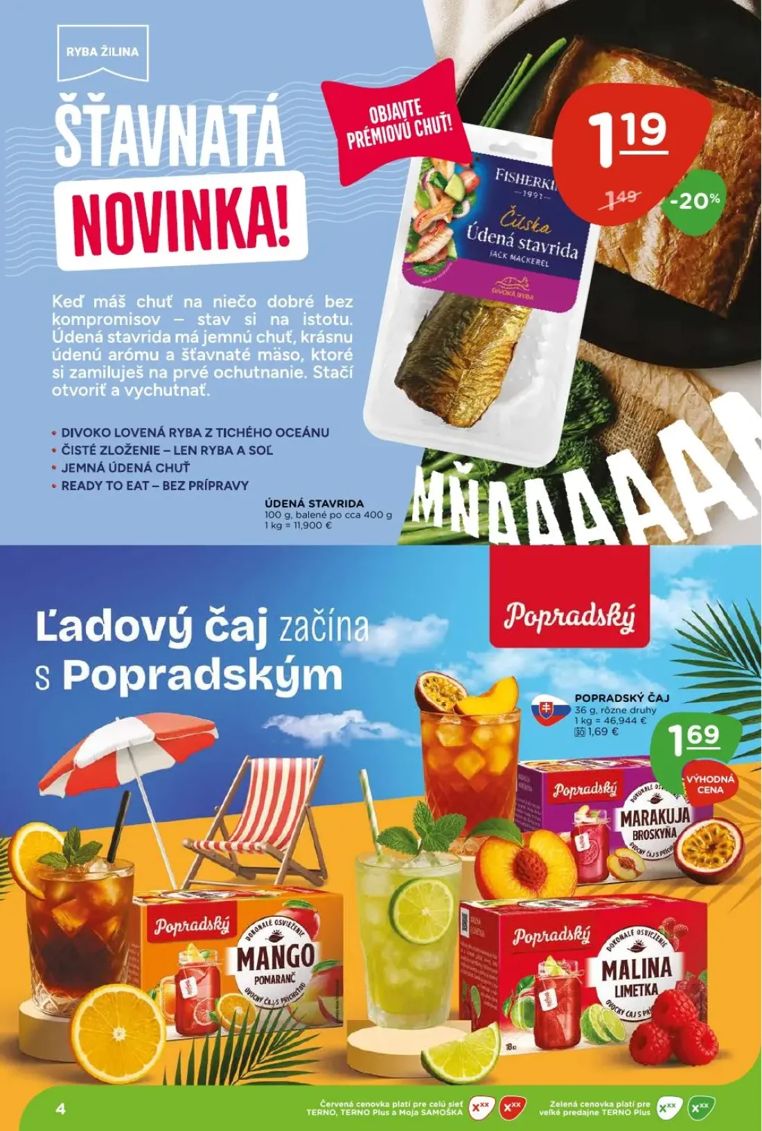 Terno leták, strana 4 z 26