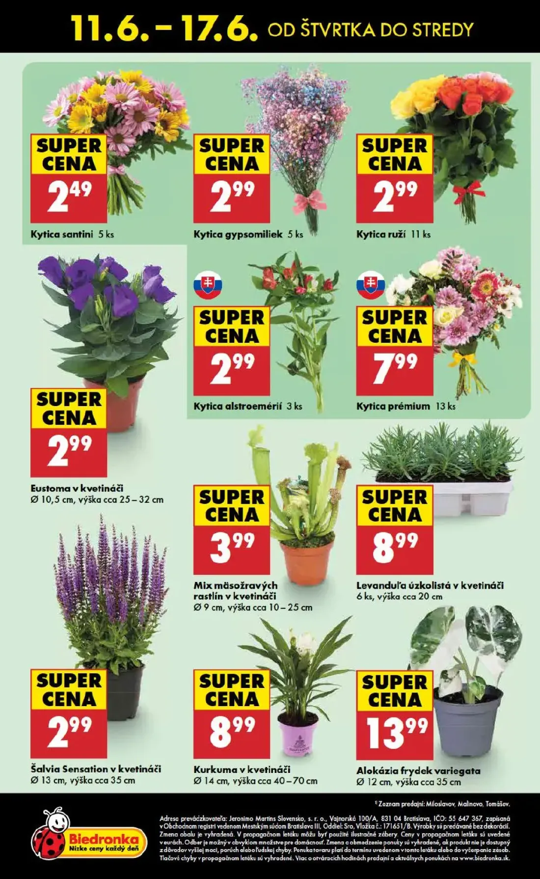 Biedronka leták, strana 48 z 48