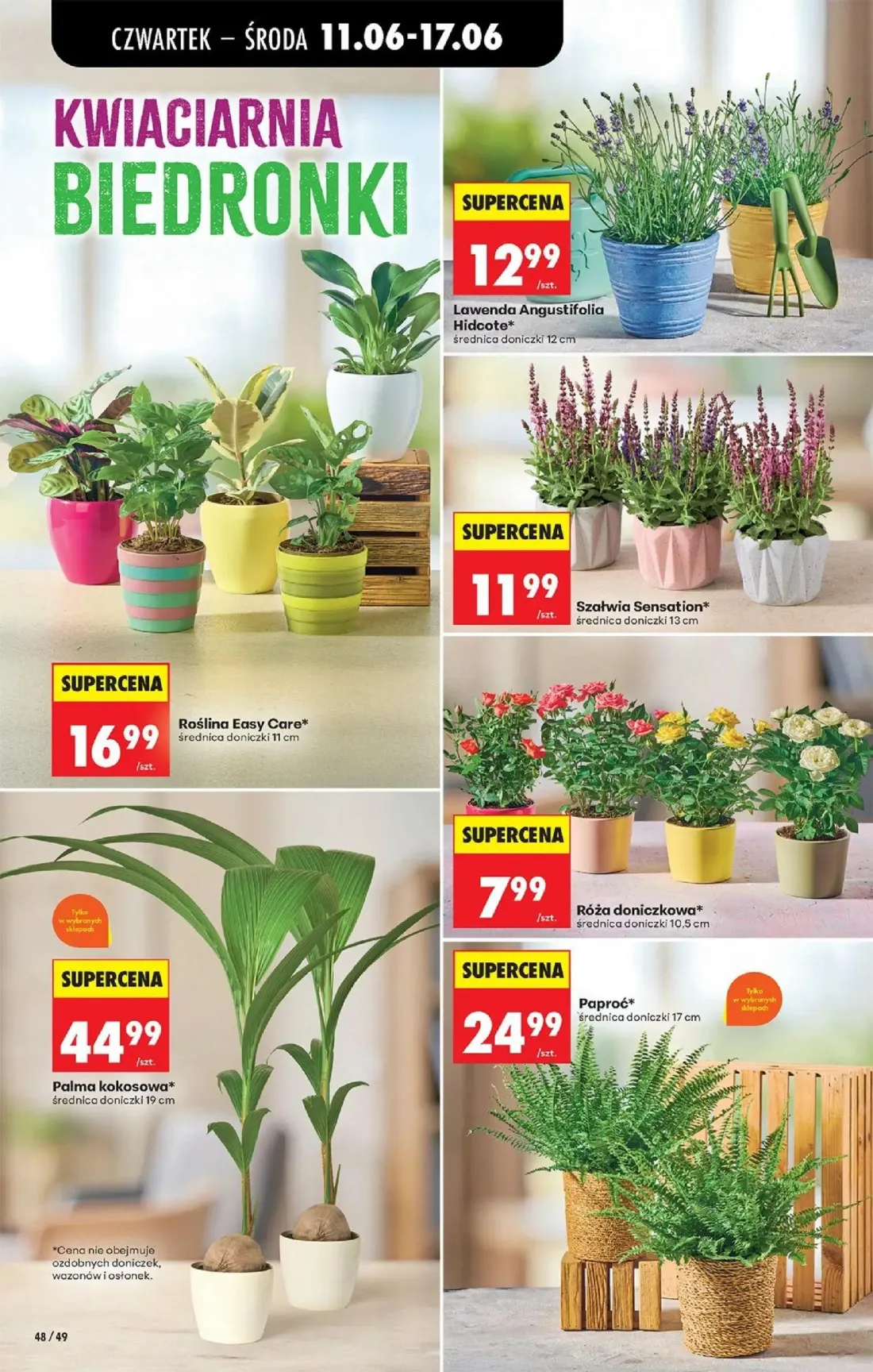 Biedronka gazetka, strona 62 z 77