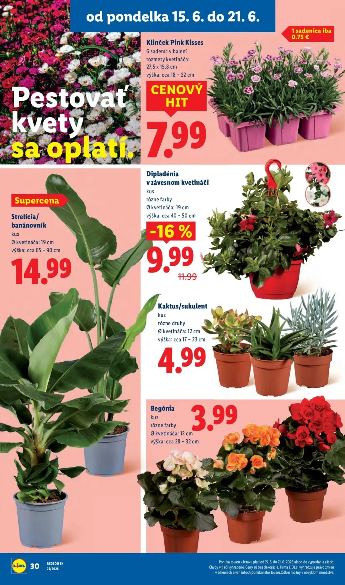 Lidl leták, strana 45 z 101