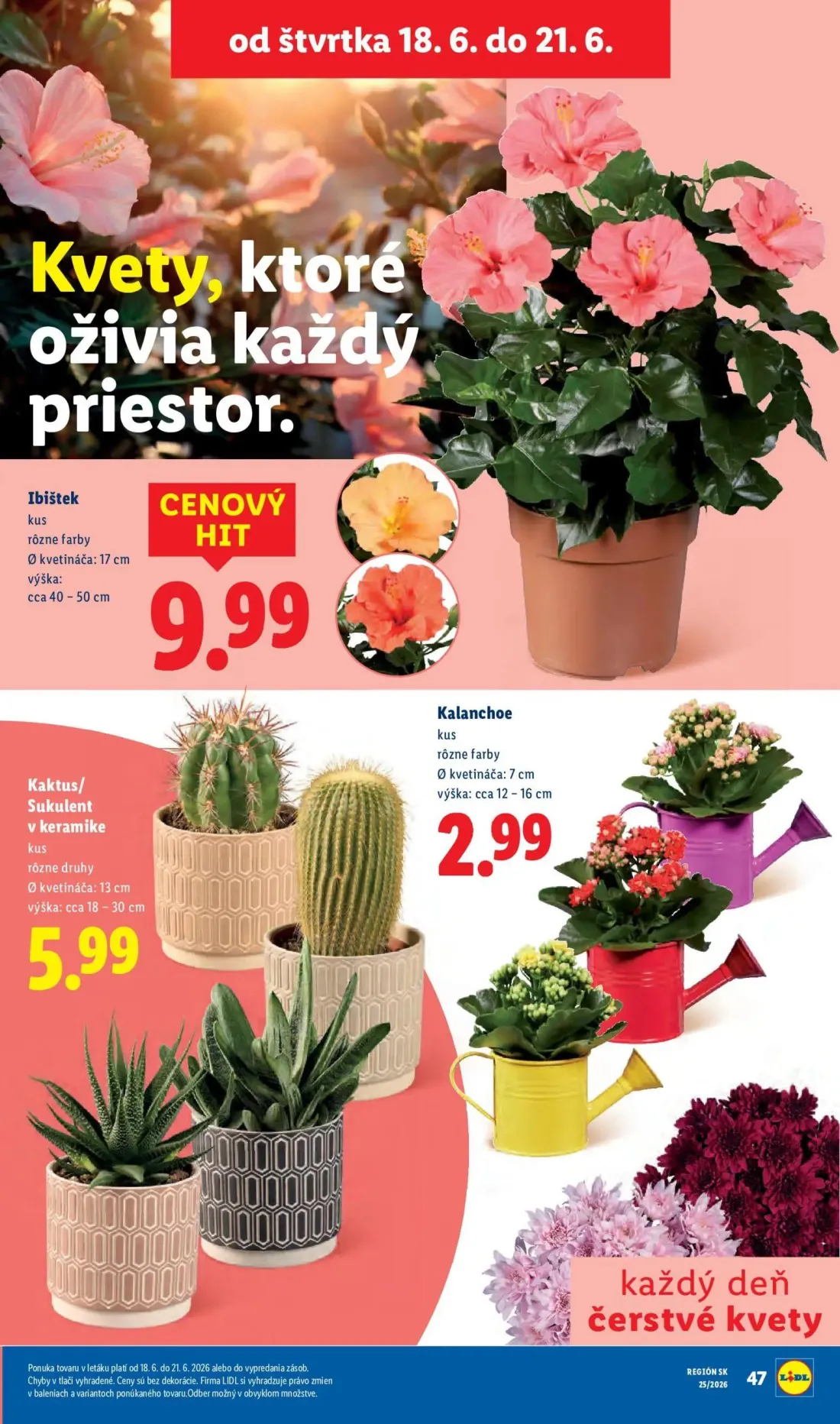 Lidl leták, strana 79 z 101