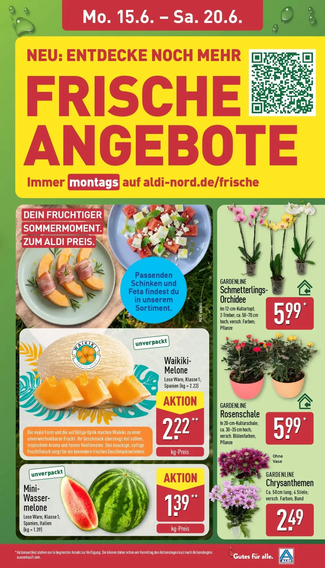 Aldi Nord Prospekt, Seite 7 von 43 — Schmetterlings-Orchidee, Waikiki-Melone, Rosenschale