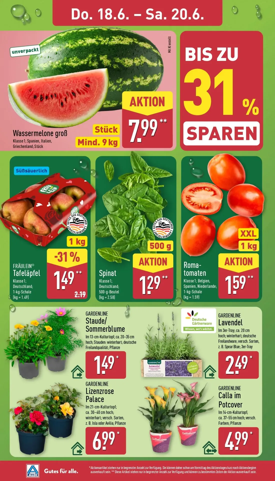Aldi Nord Prospekt, Seite 32 von 43 — FRÄULEIN® Tafeläpfel, Wassermelone groß, Spinat