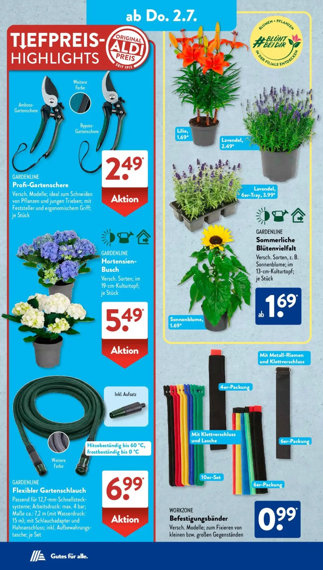 Aldi Süd Prospekt, Seite 12 von 24 — Profi-Gartenschere, Lilie, Lavendel