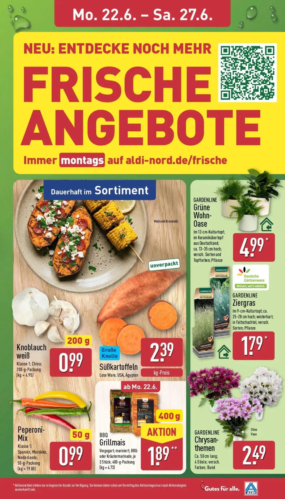 Aldi Nord Prospekt, Seite 3 von 41 — BBQ Grillmais