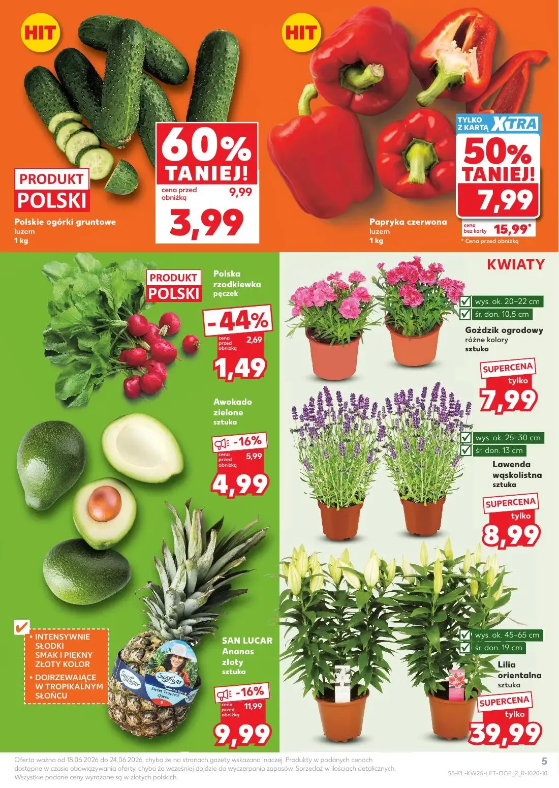 Kaufland gazetka, strona 5 z 70 — Papryka czerwona, Polskie ogórki gruntowe, Polska rzodkiewka