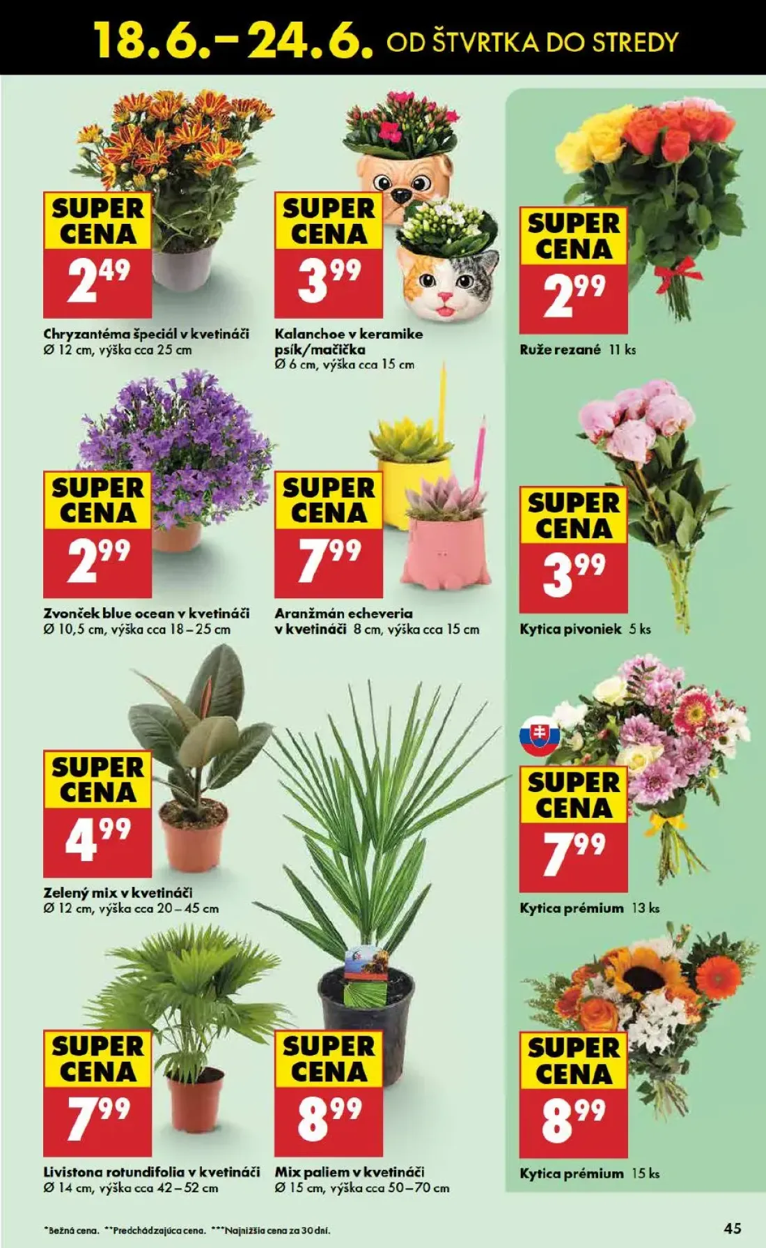 Biedronka leták, strana 45 z 48