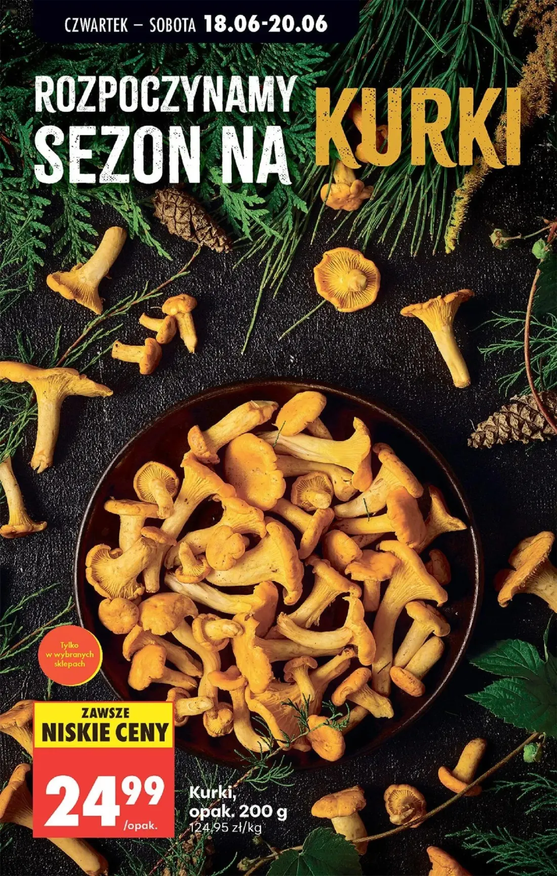 Biedronka gazetka, strona 29 z 87 — Kurki