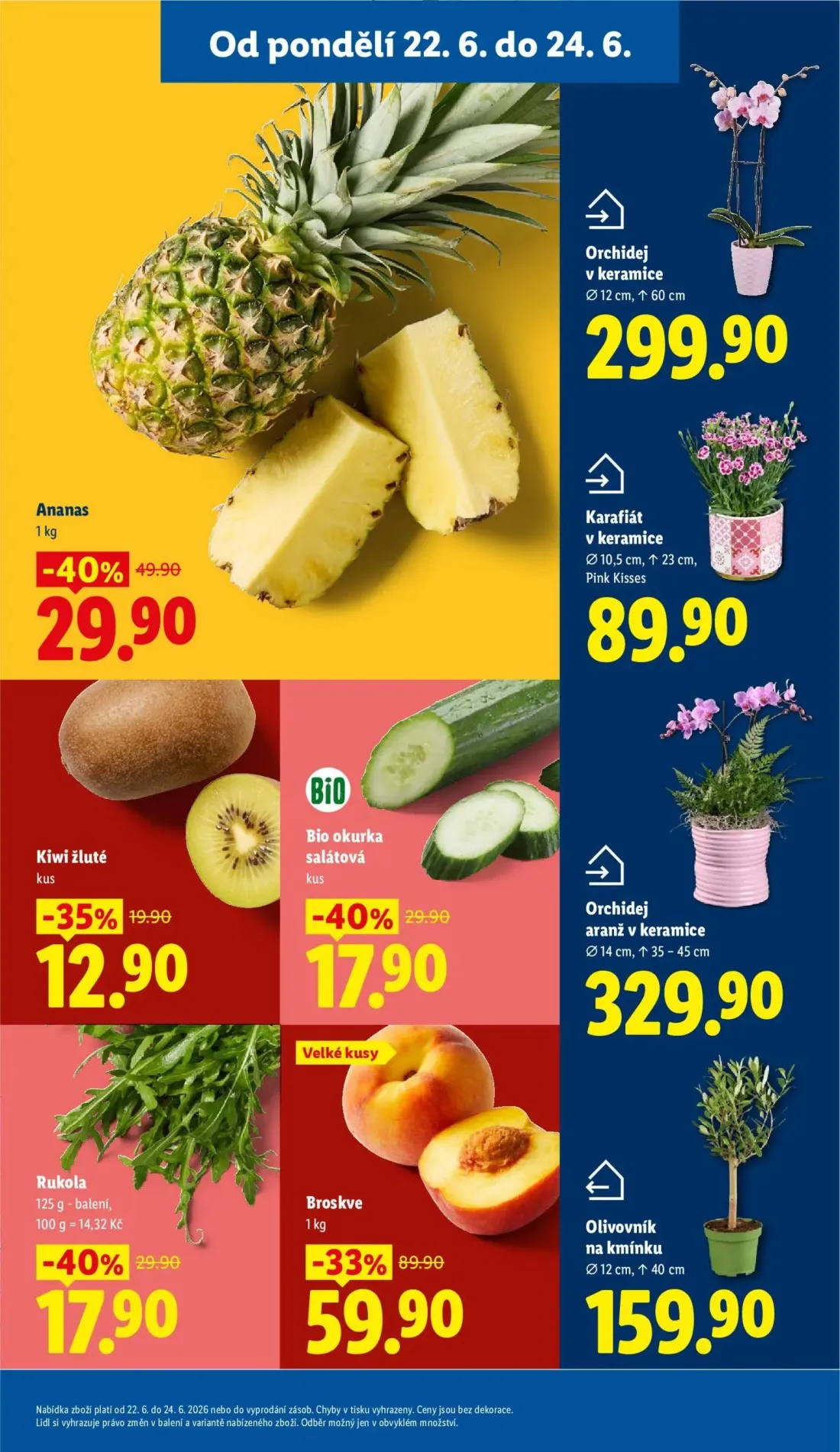 Lidl leták, strana 9 z 53