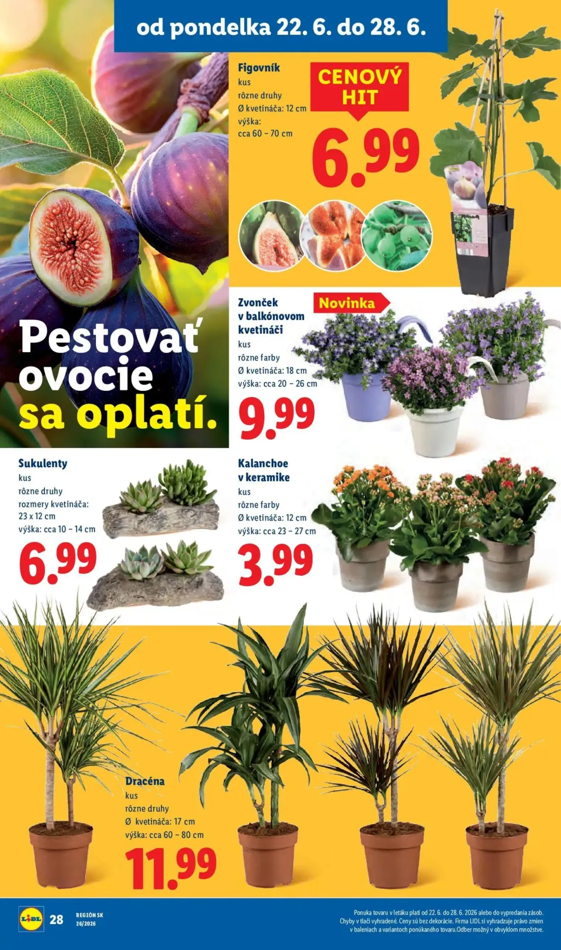 Lidl leták, strana 40 z 99