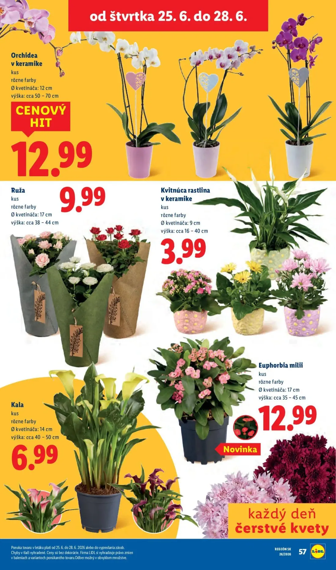 Lidl leták, strana 78 z 99