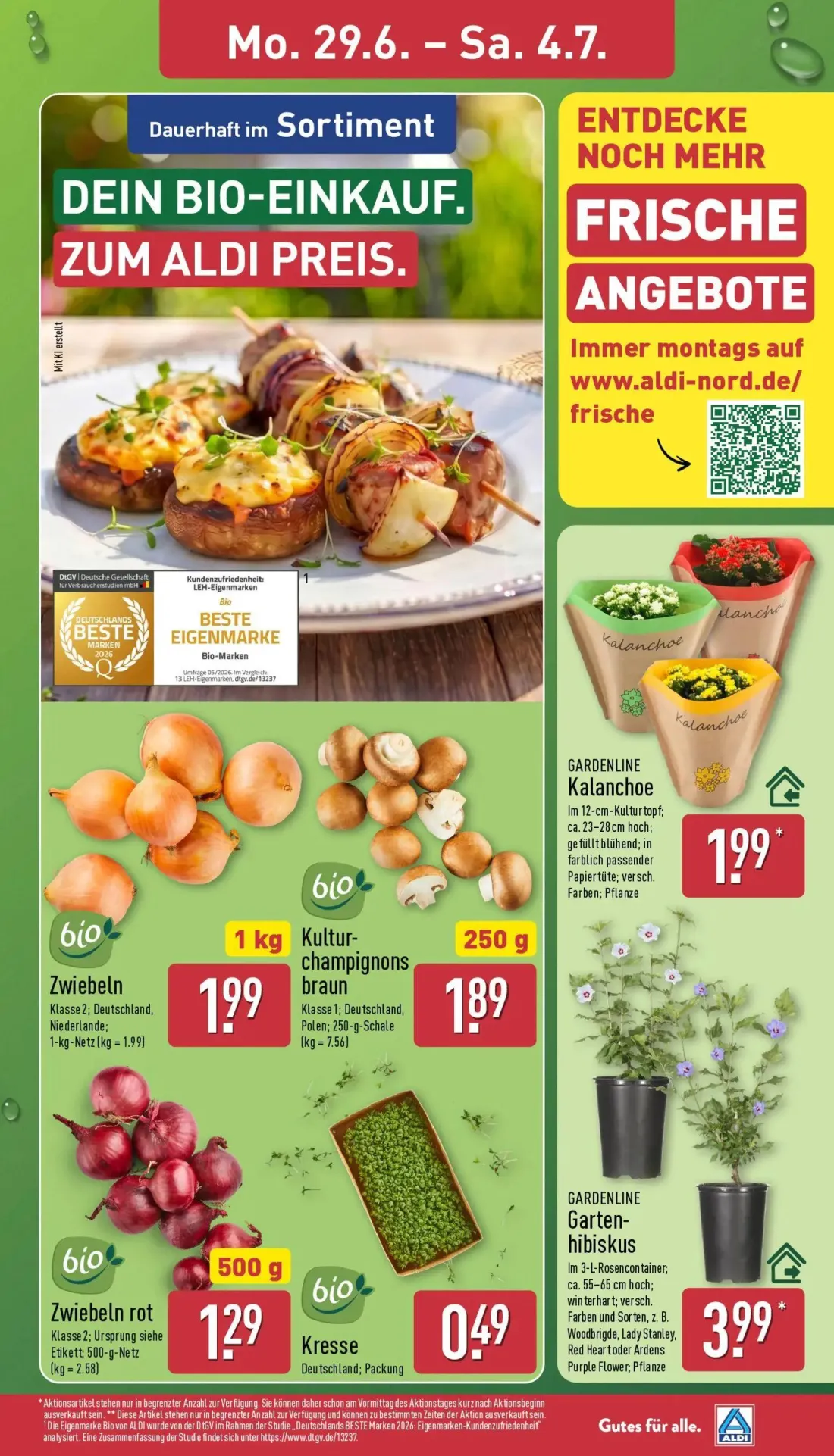 Aldi Nord Prospekt, Seite 3 von 45