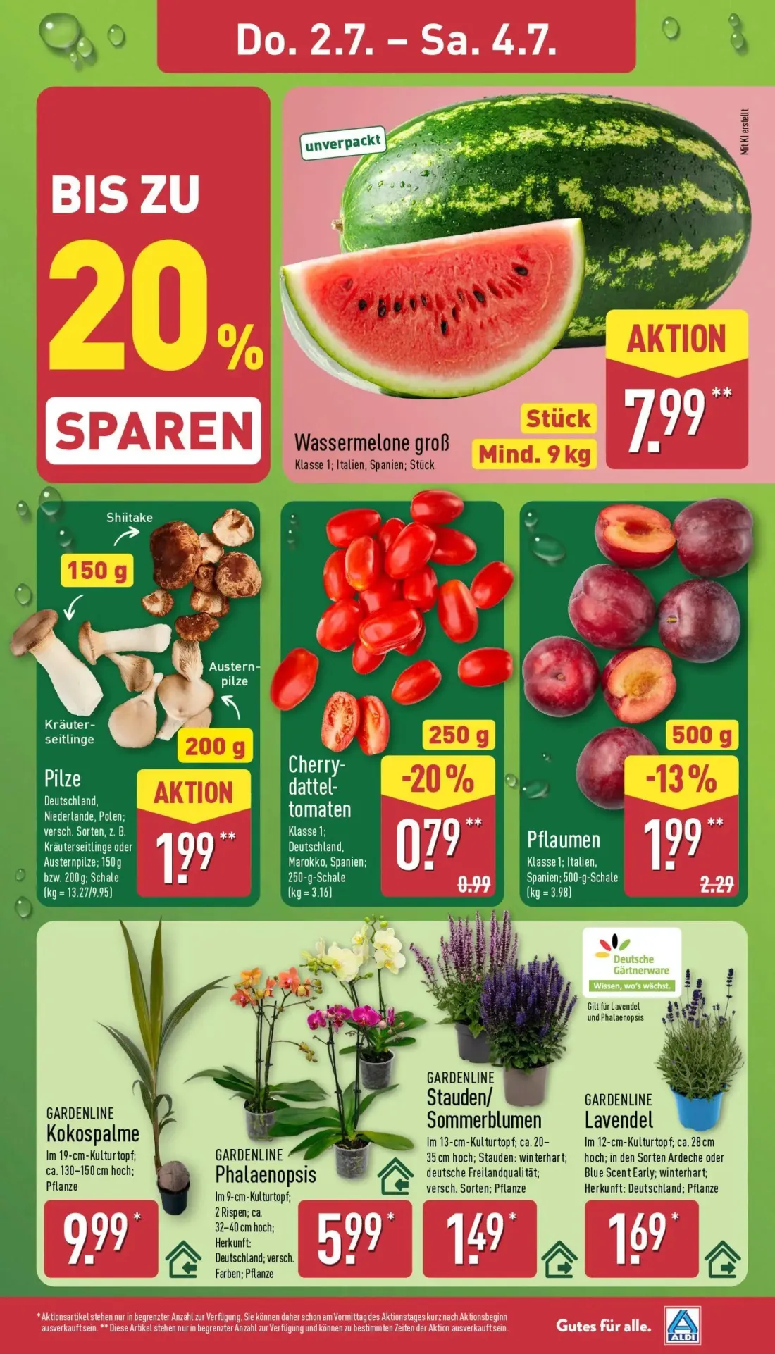 Aldi Nord Prospekt, Seite 31 von 45