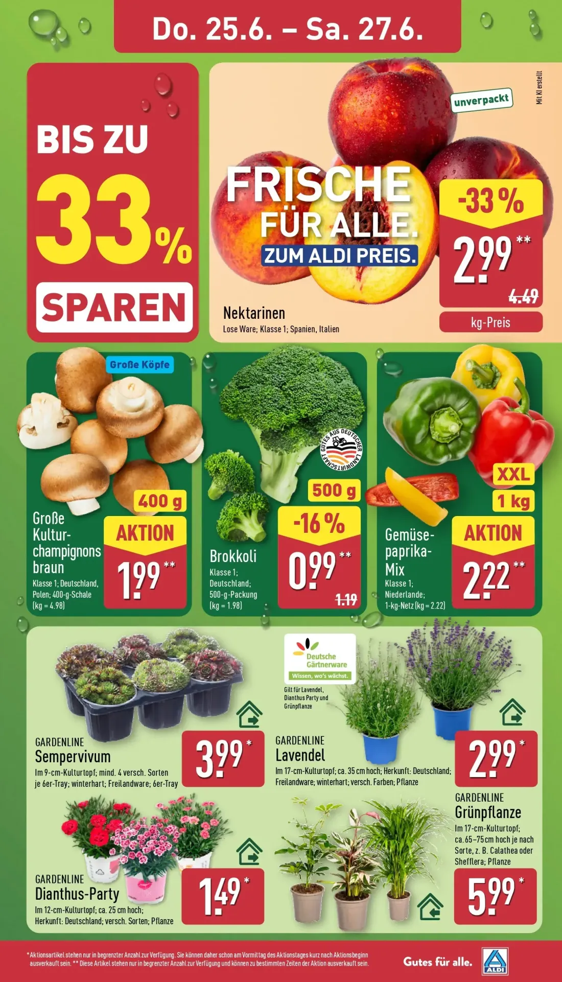 Aldi Nord Prospekt, Seite 29 von 41 — Nektarinen