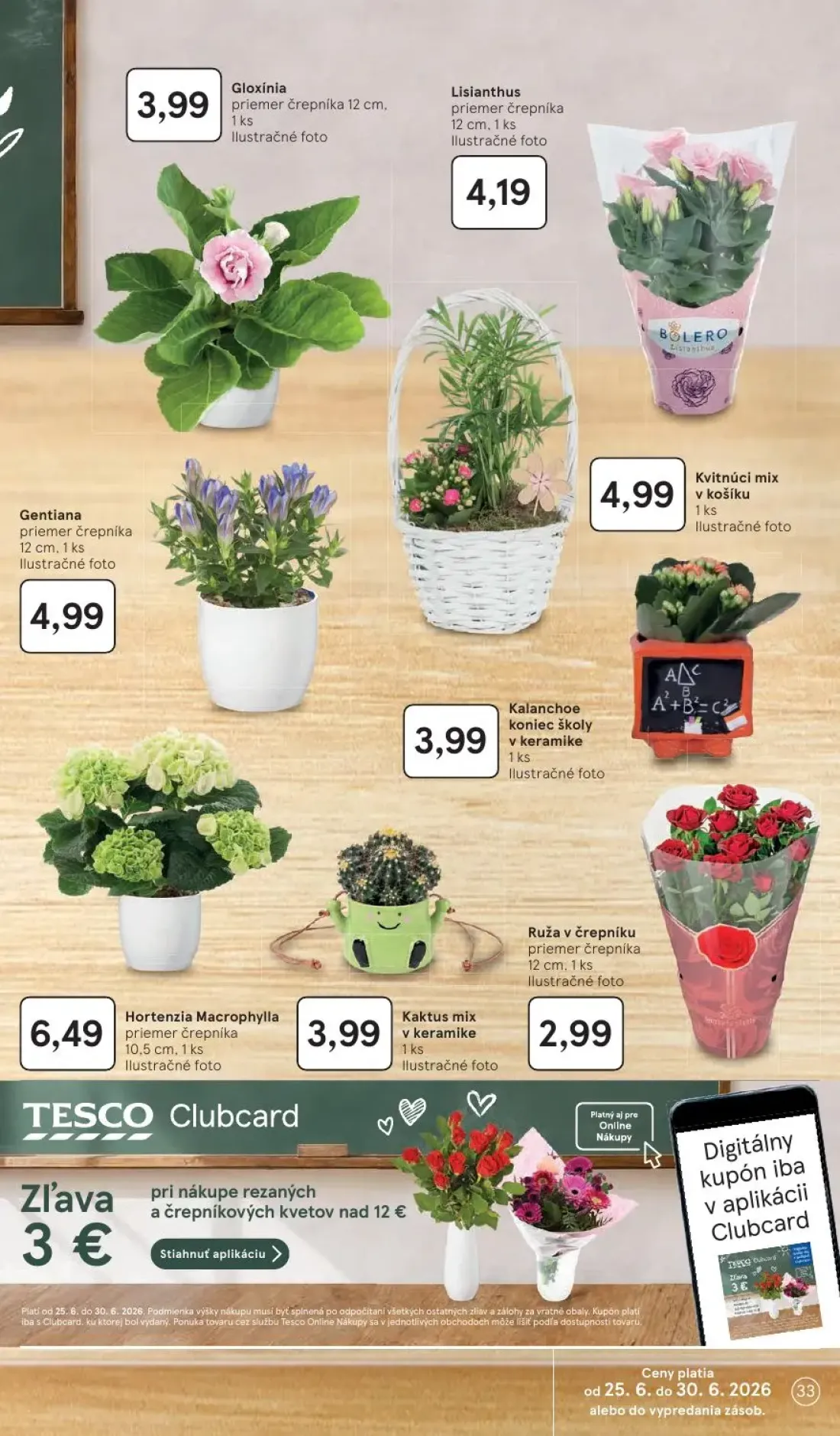Tesco leták, strana 33 z 51