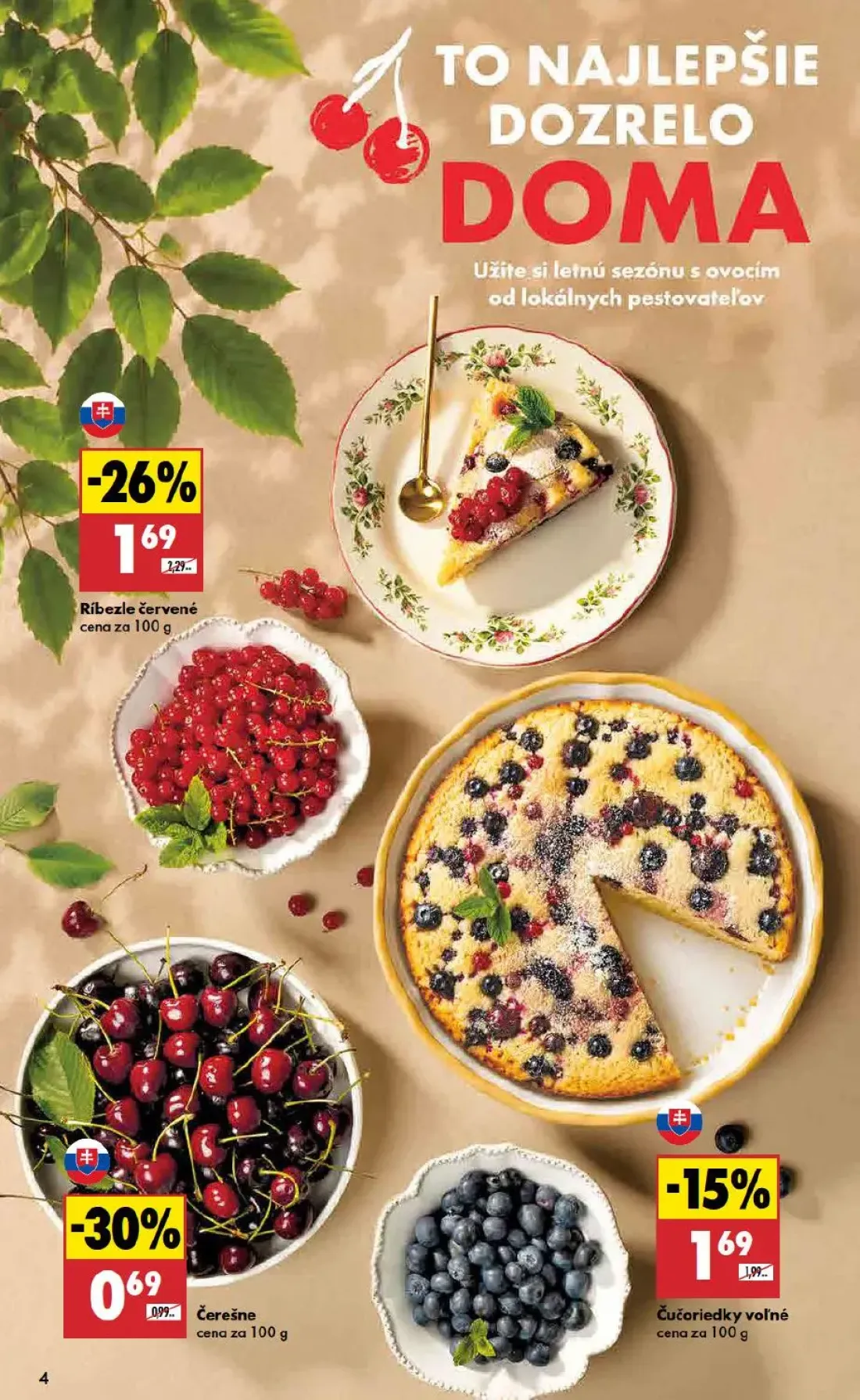 Biedronka leták, strana 4 z 48