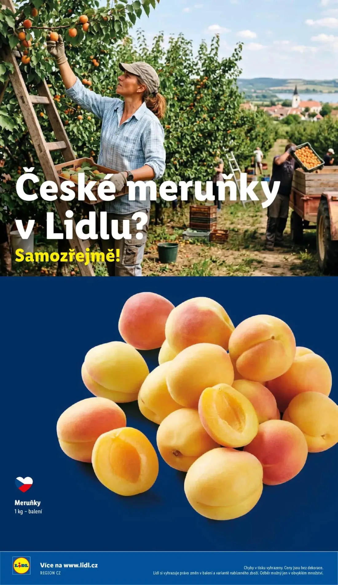 Lidl leták, strana 54 z 58