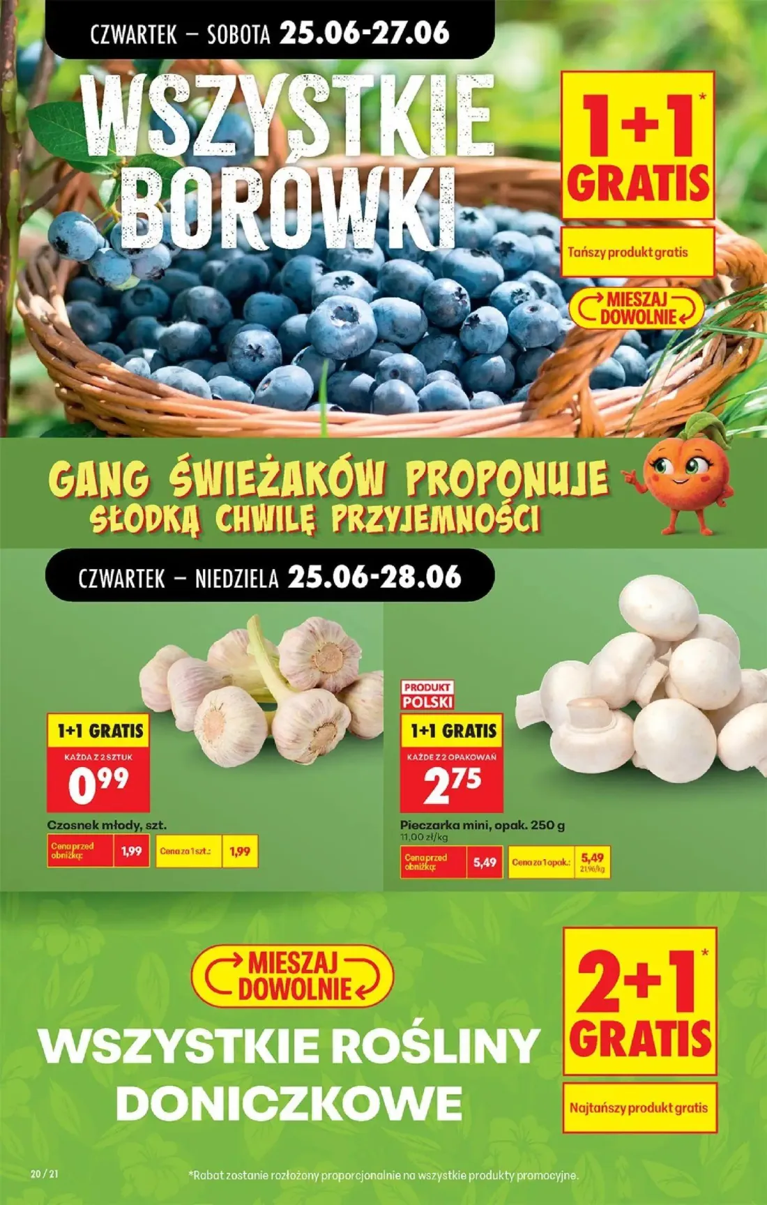 Biedronka gazetka, strona 22 z 84 — Pieczarka mini, Czosnek młody